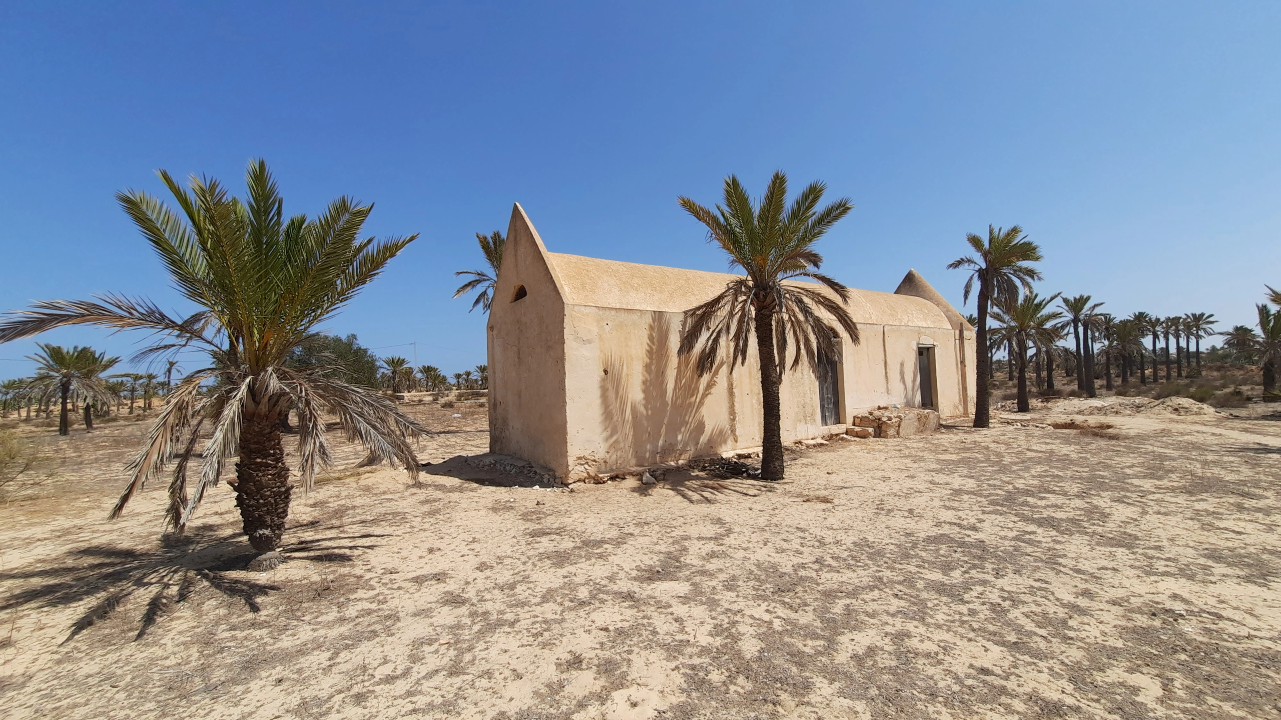 Terrain constructible à Djerba en 2025 Terrain constructible marché immobilier Djerba 2025 dans une zone résidentielle en développement